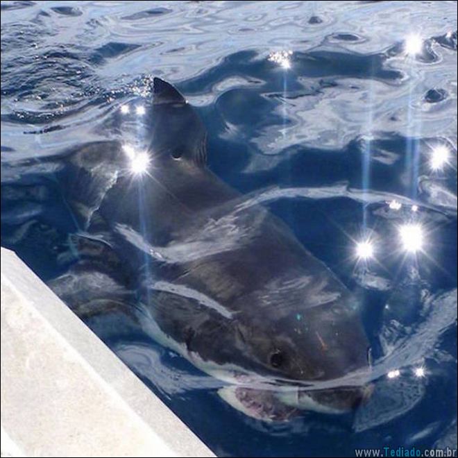 coisas-acotencem-lutar-14