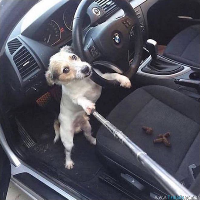 coisas-acotencem-lutar-15