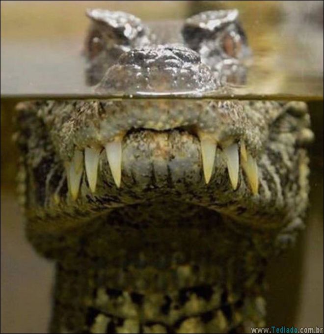 coisas-acotencem-lutar-17