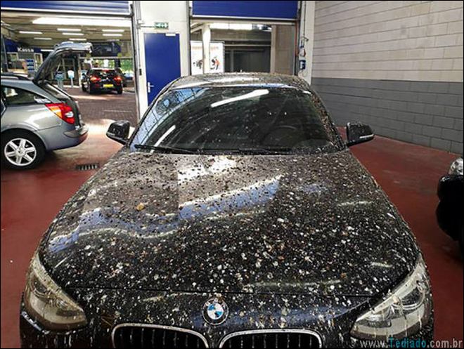 coisas-acotencem-lutar-19