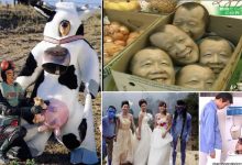 16 coisas bizarras que você só pode ver na Ásia 9