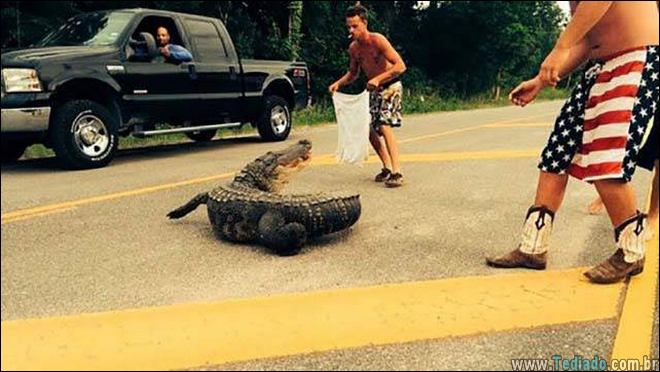 coisas-que-vai-mudar-sua-vida-12