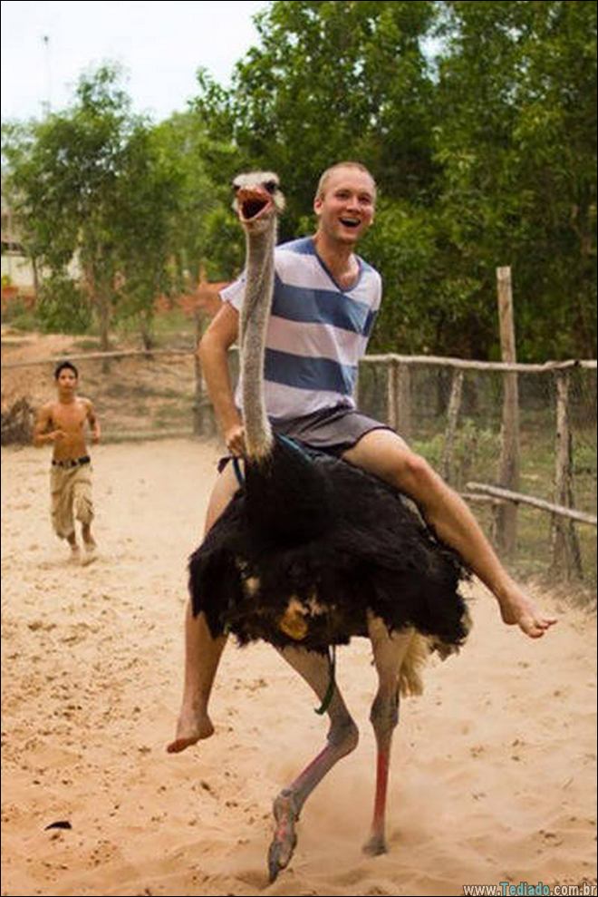 compilacao-epicas-estranha-12