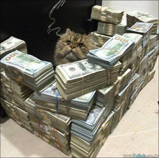 compilacao-epicas-estranha-18