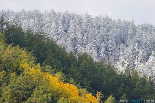 compilacao-epicas-estranha-24