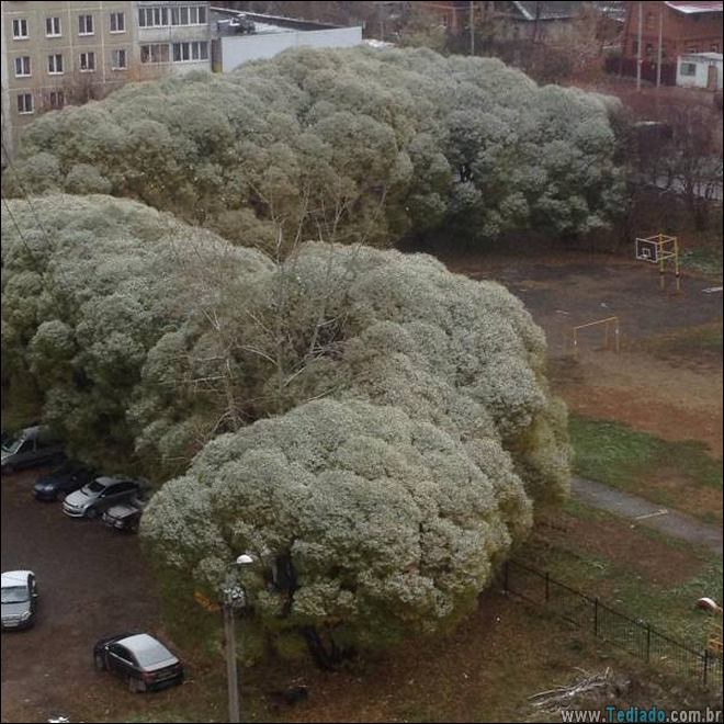 compilacao-epicas-estranha-26