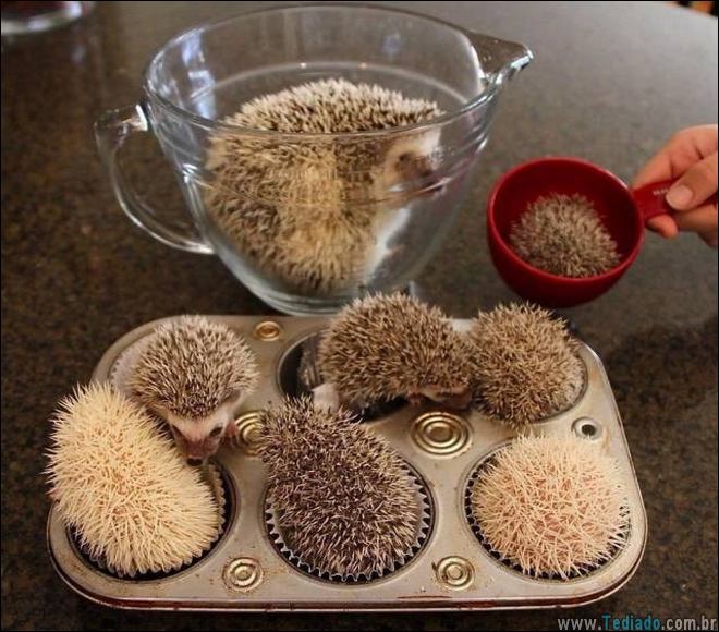 compilacao-epicas-estranha-27