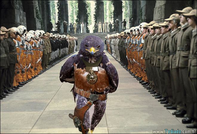 falcao-photoshop-internet-07