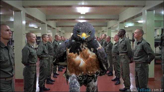 falcao-photoshop-internet-08