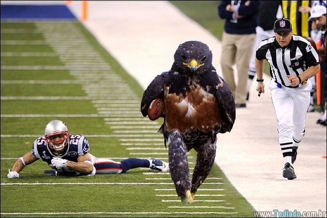 falcao-photoshop-internet-15