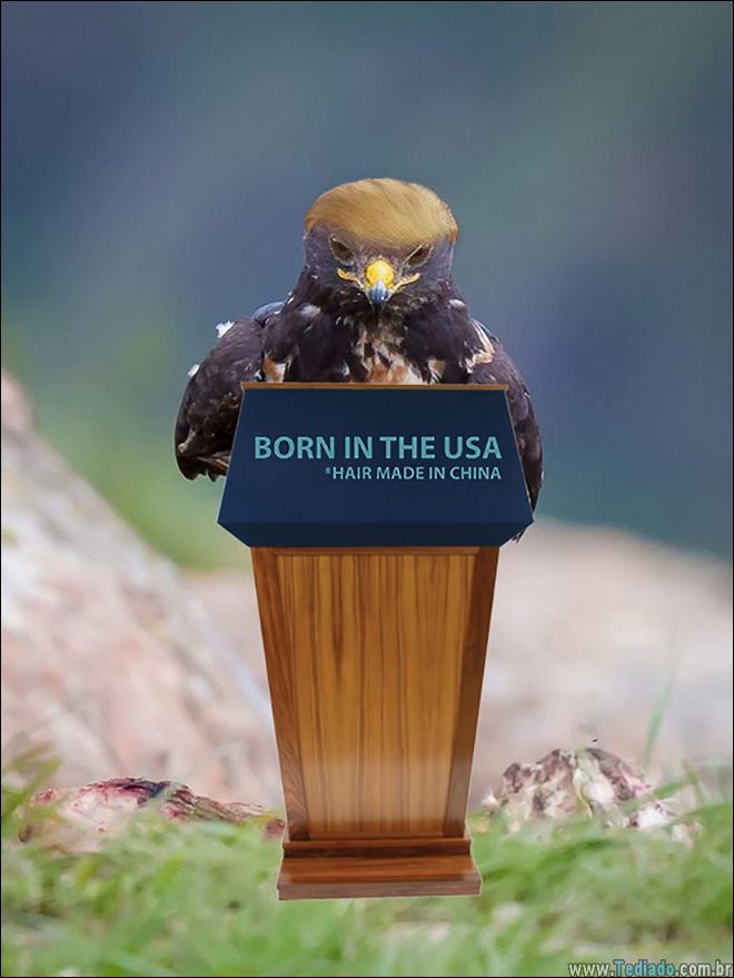 falcao-photoshop-internet-21