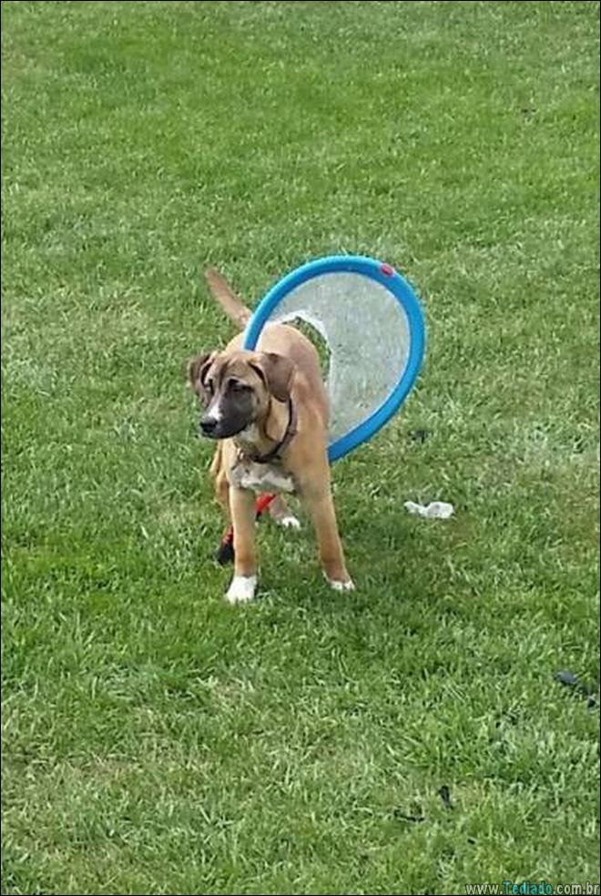 fotos-sem-ou-com-logicas-14