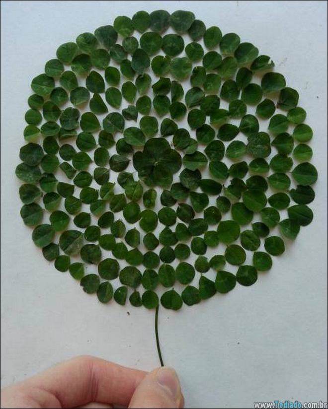 incrivel-arte-adam-hillaman-agradavel-16