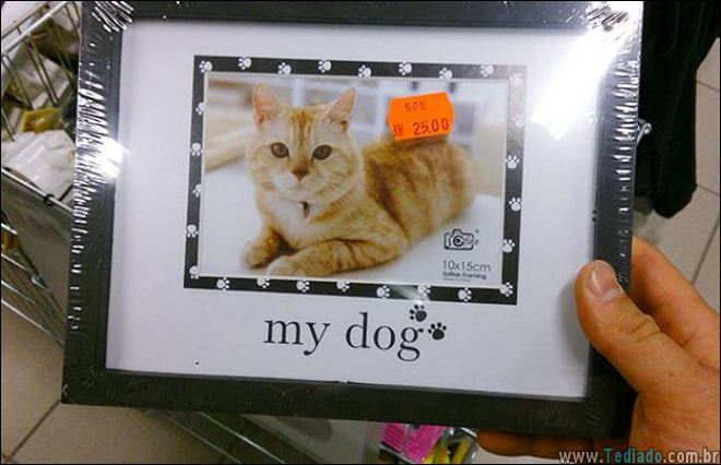 mentiras-toda-parte-07