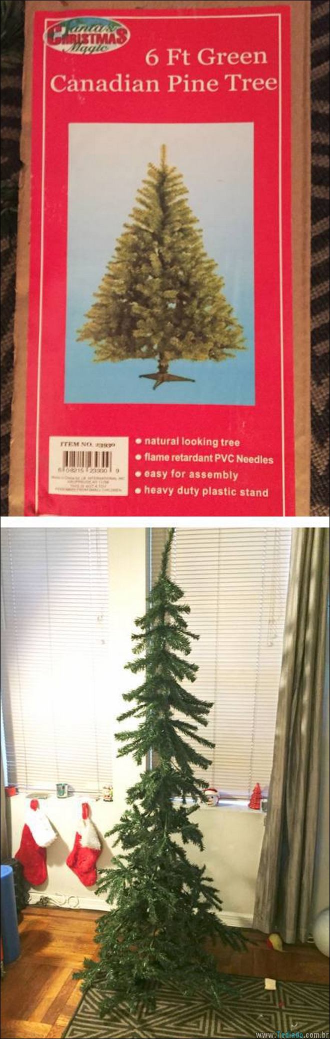 mentiras-toda-parte-27