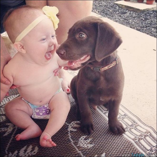 momentos-engracados-bebe-10