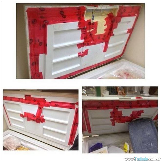 pequenos-grandes-engenheiros-vida-04