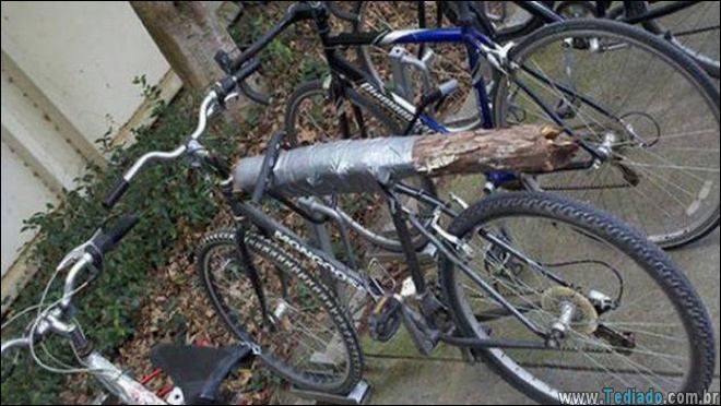 pequenos-grandes-engenheiros-vida-09