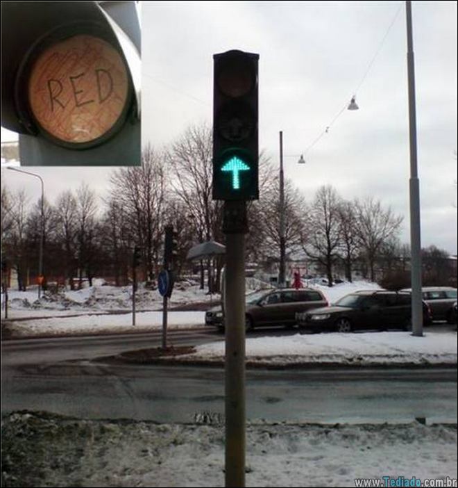 pequenos-grandes-engenheiros-vida-10