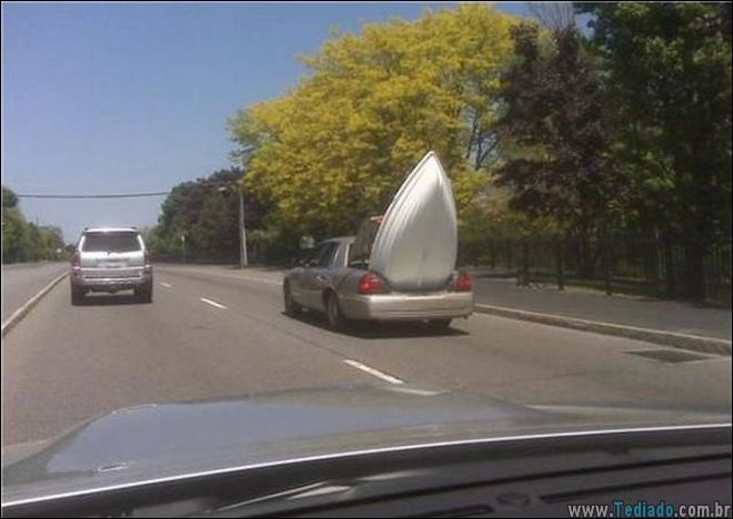 pequenos-grandes-engenheiros-vida-18