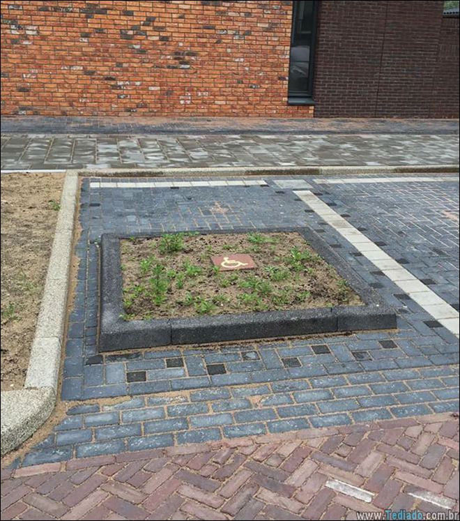 arquitetos-trabalho-22