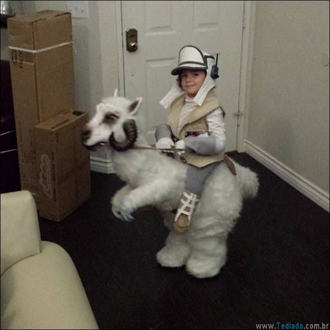 belas-emocionantes-05