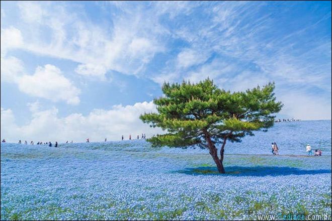 belas-emocionantes-25