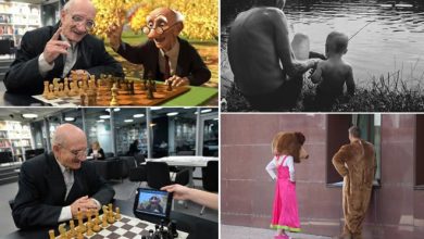 23 bons exemplos de imagem que vale mais do que mil palavras 30