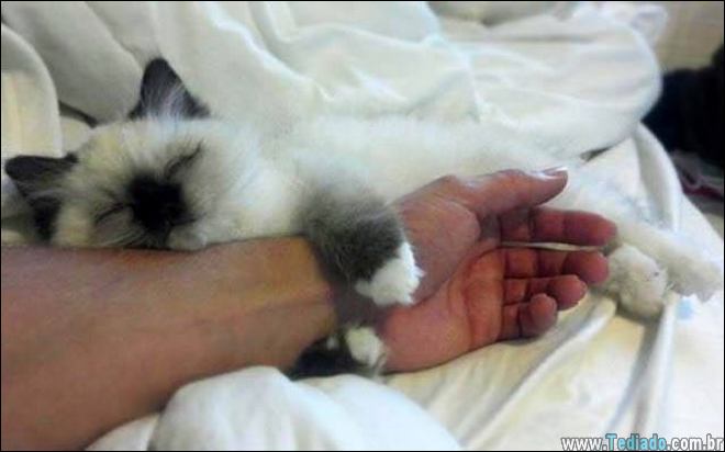 bons-exemplos-imagens-mais-que-mil-palavras-09