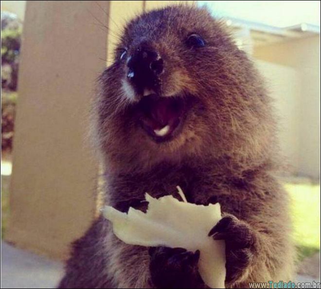 bons-exemplos-imagens-mais-que-mil-palavras-11