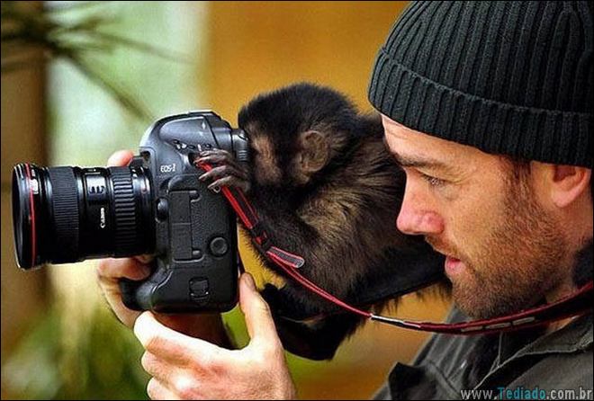 bons-exemplos-imagens-mais-que-mil-palavras-15