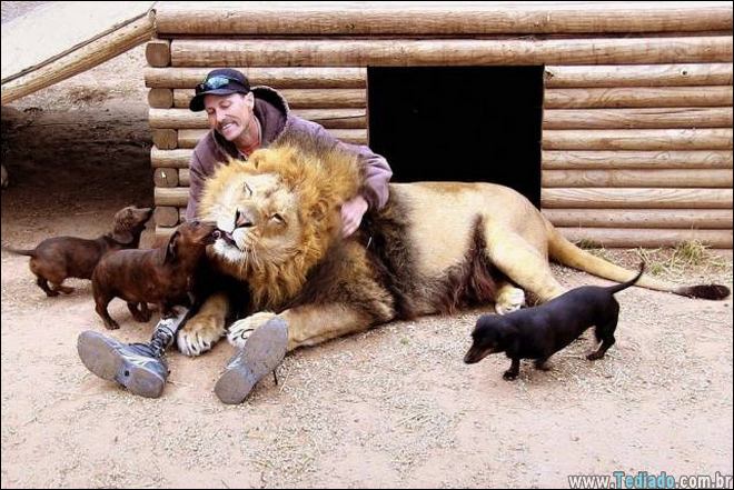 bons-exemplos-imagens-mais-que-mil-palavras-18