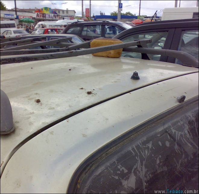 eu-nao-sei-nem-explicar-a-foto-13