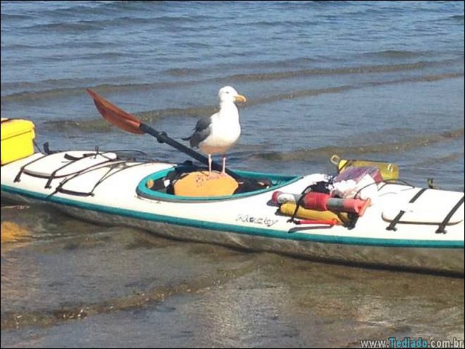 eu-nao-sei-nem-explicar-a-foto-16