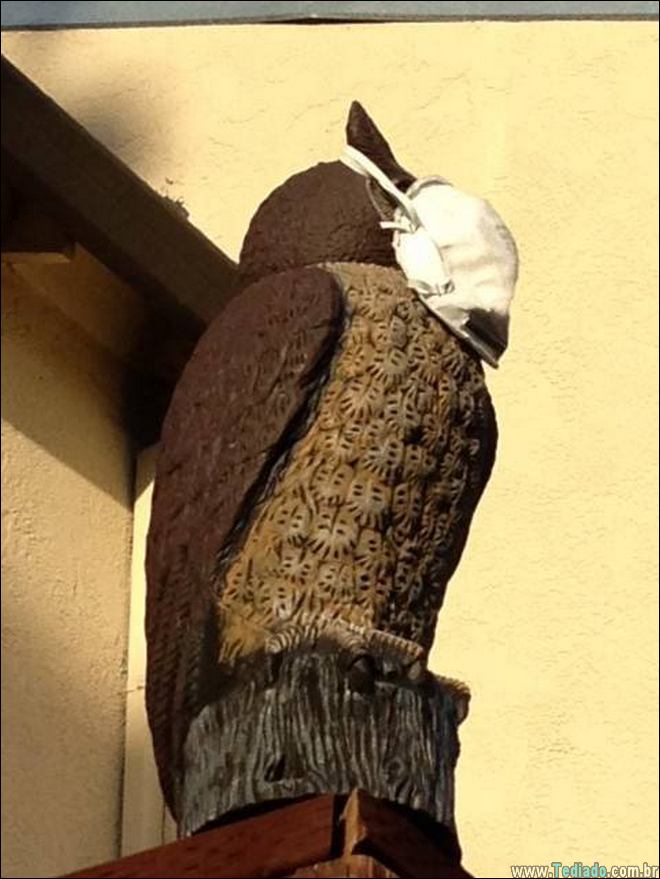 eu-nao-sei-nem-explicar-a-foto-23