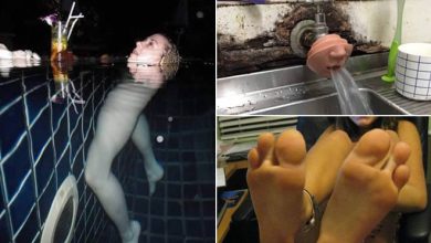 Eu não sei nem por onde começar a explicar essas fotos (21 fotos) 5