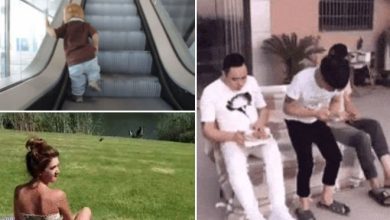 9 Gifs para Whatsapp 47