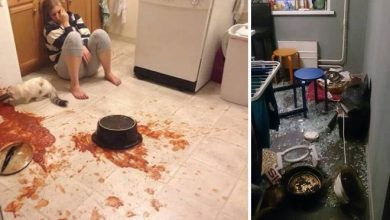 Os piores momentos em cozinhar (32 fotos) 10