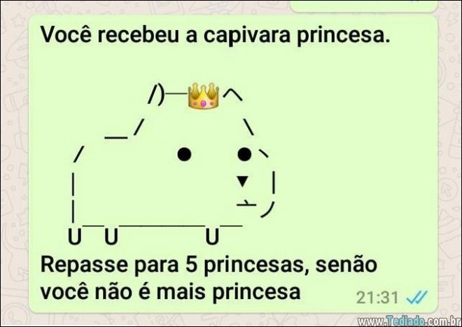 momentos-grupo-whatsapp-01