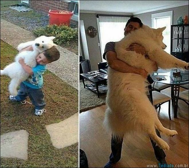 momentos-que-vale-amar-a-vida-02