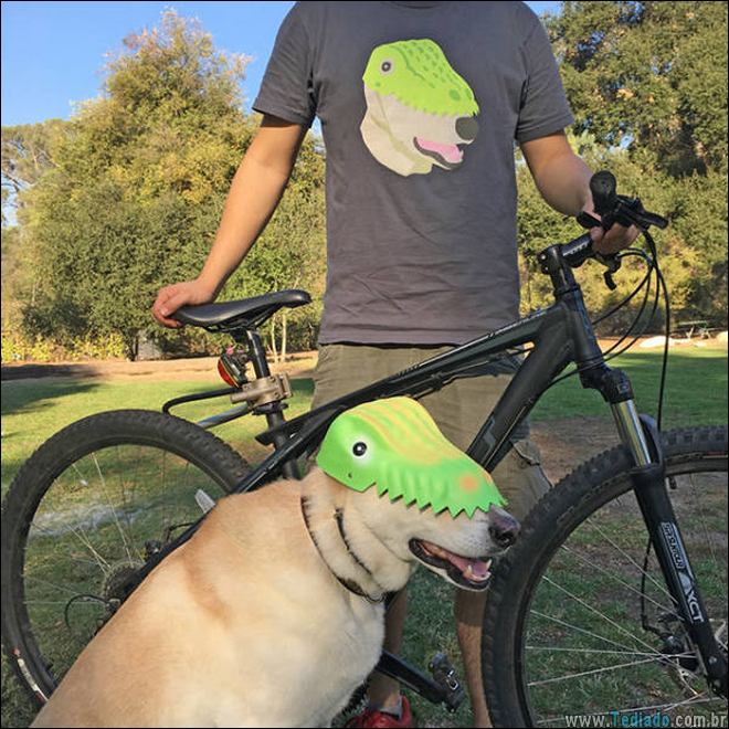 momentos-que-vale-amar-a-vida-06