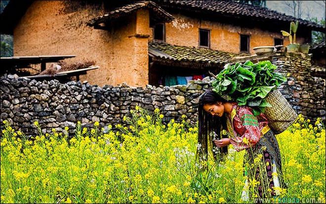 momentos-que-vale-amar-a-vida-08