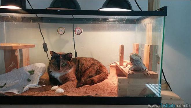 momentos-que-vale-amar-a-vida-16