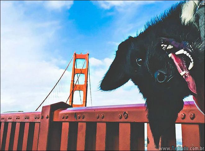 momentos-que-vale-amar-a-vida-23