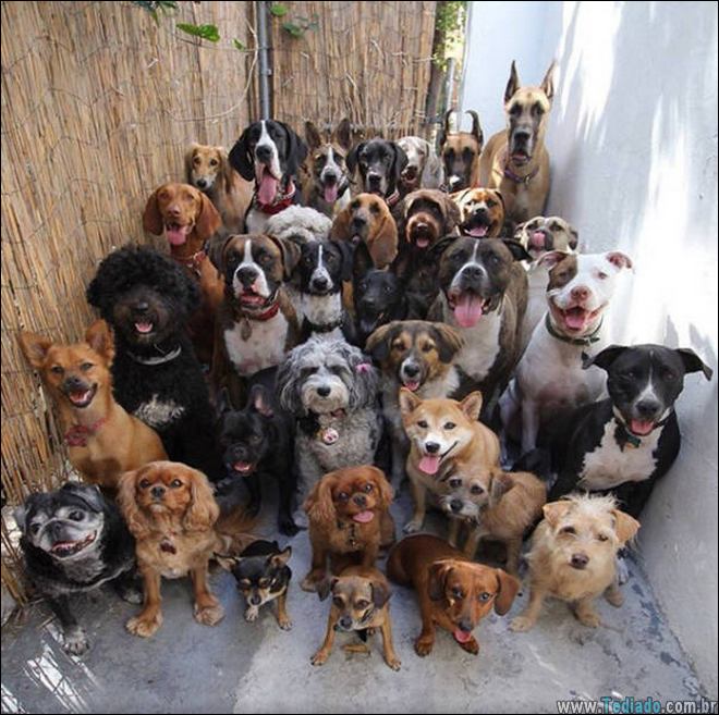 momentos-que-vale-amar-a-vida-29