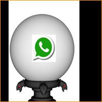 Bola de Cristal para o Whatsapp muamba-03