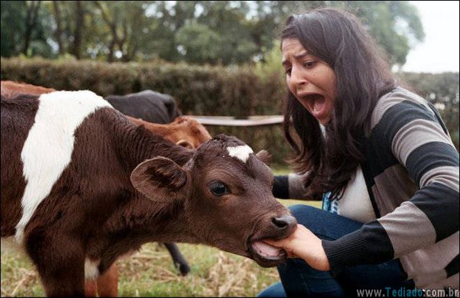 pequenas-e-grande-falhas-humanas-09