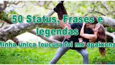 50 Status, Frases e legendas - Minha única loucura foi me apaixonar! 6