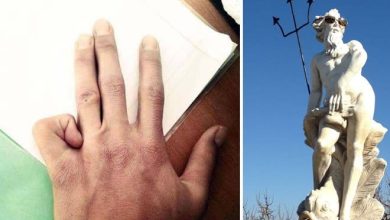 Eu não sei nem por onde começar a explicar essas fotos (23 fotos) 54