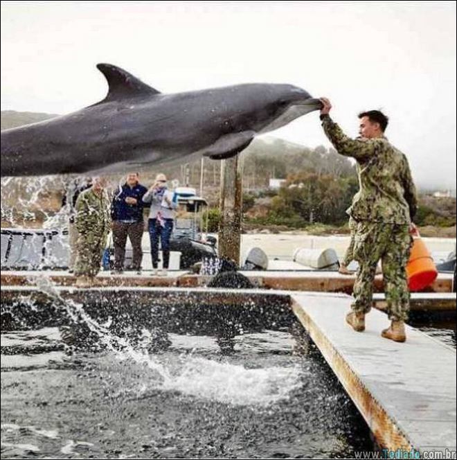 fotos-tiradas-no-momento-certo-14